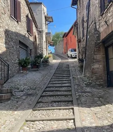 Con Vista